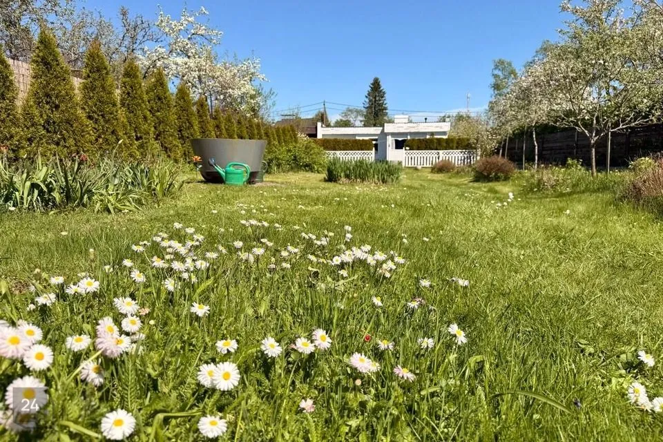 3-toaline Maja  -  Saue vald, Laitse küla - foto 3