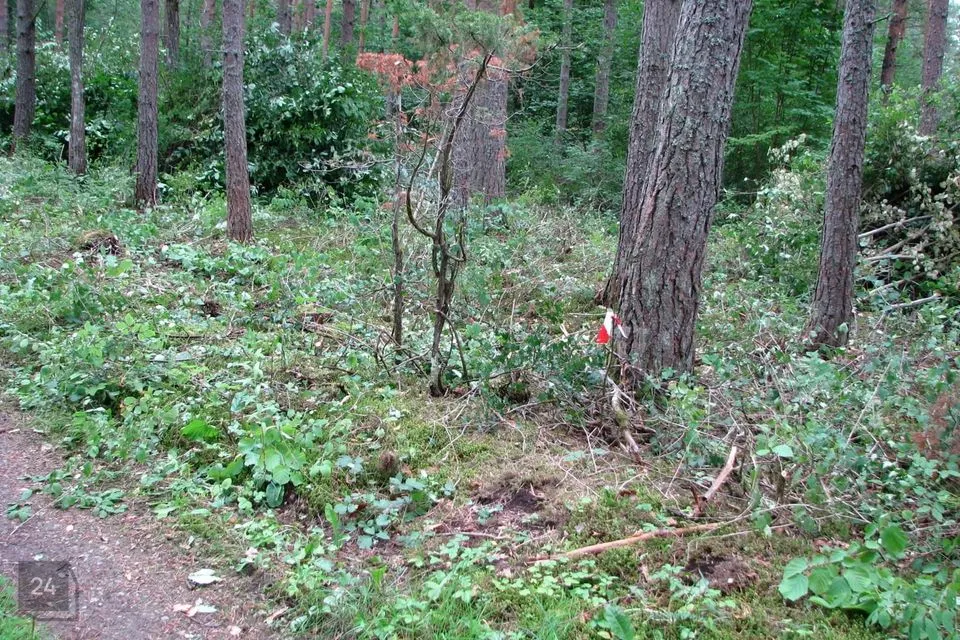 Elamumaa, 3003 m² Maa - Raasiku vald, Aruküla alevik - foto 3