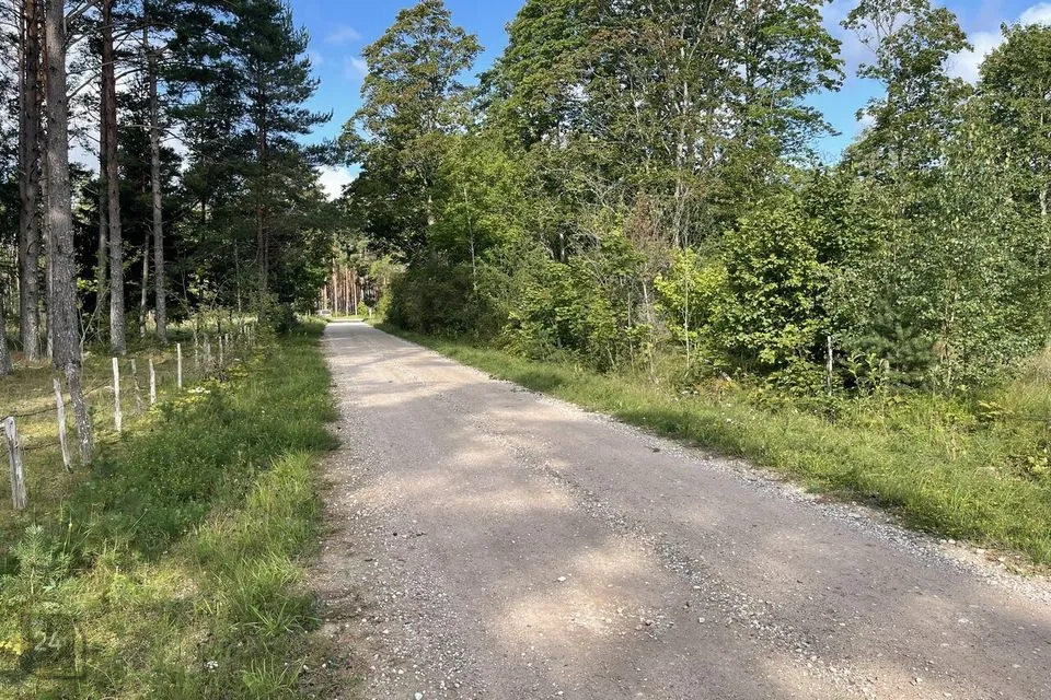 Elamumaa, 16583 m² Maa  -  Saaremaa vald, Nurme küla - foto 5