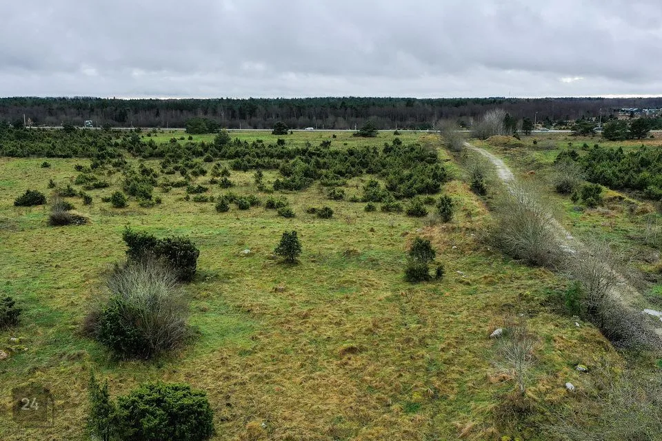 Maatulundusmaa, 23576 m² Maa  -  Harku vald, Muraste küla - foto 5