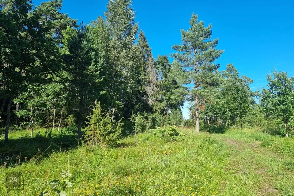 Maatulundusmaa, 14818 m² Maa - Lääne-Nigula vald, Vedra küla