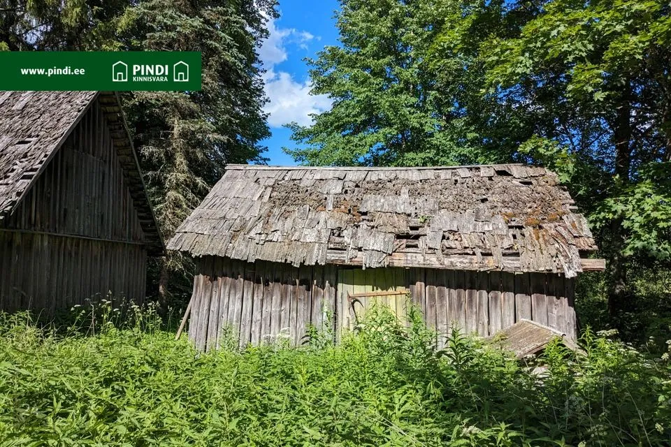 1-комнатная дом в Peipsiääre vald, Koosa küla - фото 4