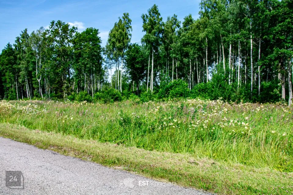 Maatulundusmaa, 10157 m² Maa - Lääneranna vald, Rädi küla - foto 2