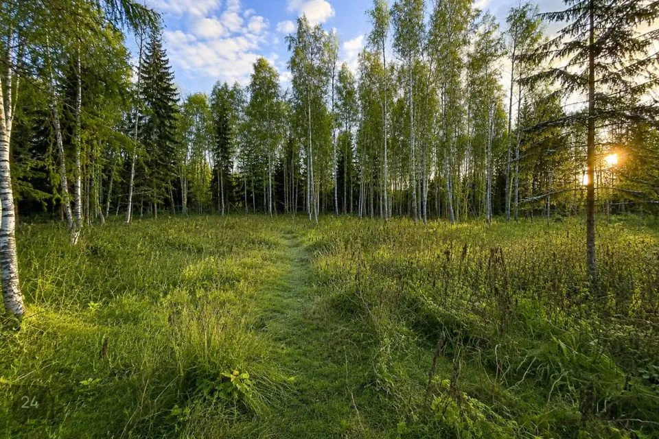 Elamumaa, 1628 m² Maa  -  Saue vald, Kibuna küla - foto 3