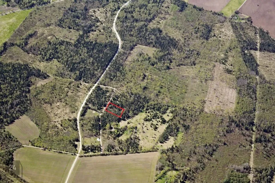 Elamumaa, 5824 m² Maa  -  Rapla vald, Seli-Nurme küla - foto 2