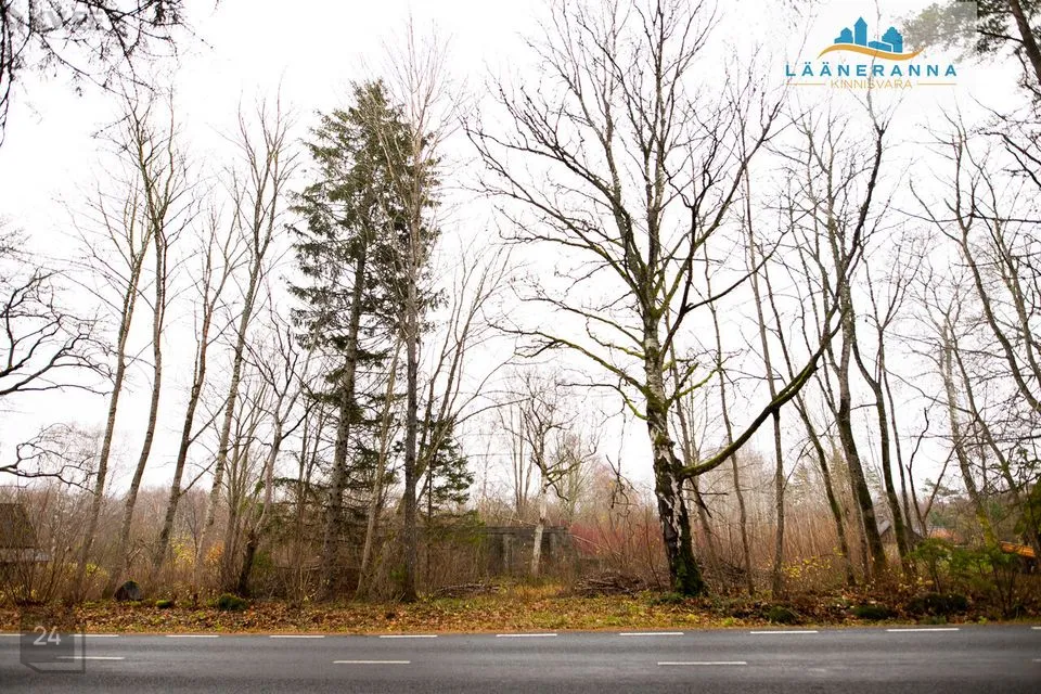 Elamumaa, 1633 m² Maa - Saaremaa vald, Leisi alevik - foto 5