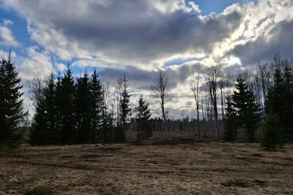 Maatulundusmaa, 25051 m² Maa - Kose vald, Lutsu küla - foto 3
