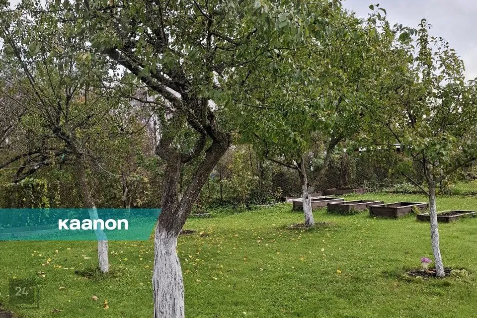 Maatulundusmaa, 499 m² Maa  -  Jõelähtme vald, Kallavere küla - foto 4