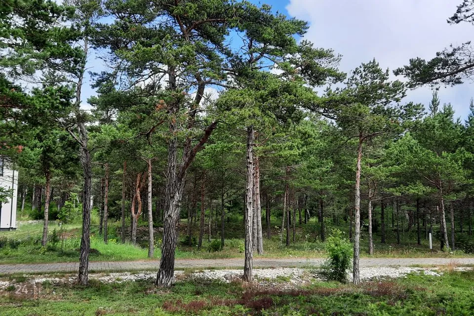 Elamumaa, 2503 m² Maa - Hiiumaa vald, Kalana küla - foto 2