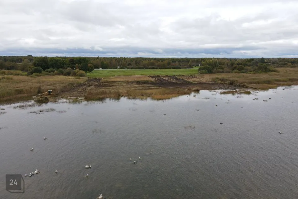 Maatulundusmaa, 6000 m² Maa  -  Mustvee vald, Ninasi küla - foto 5