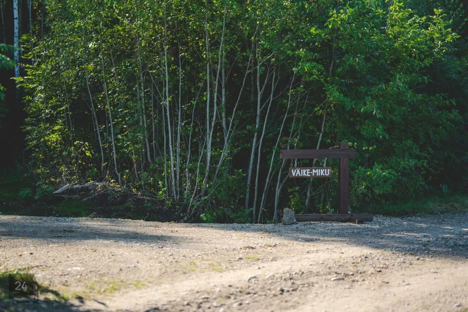 Maatulundusmaa, 19747 m² Maa  -  Märjamaa vald, Risu-Suurküla - foto 3
