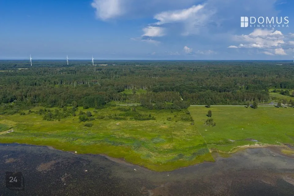 Maatulundusmaa, 110000 m² участок в Lääne-Nigula vald, Riguldi küla / Rickul - фото 5