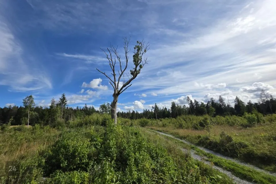 Maatulundusmaa, 27598 m² Maa  -  Lääne-Harju vald, Ohtu küla - foto 3