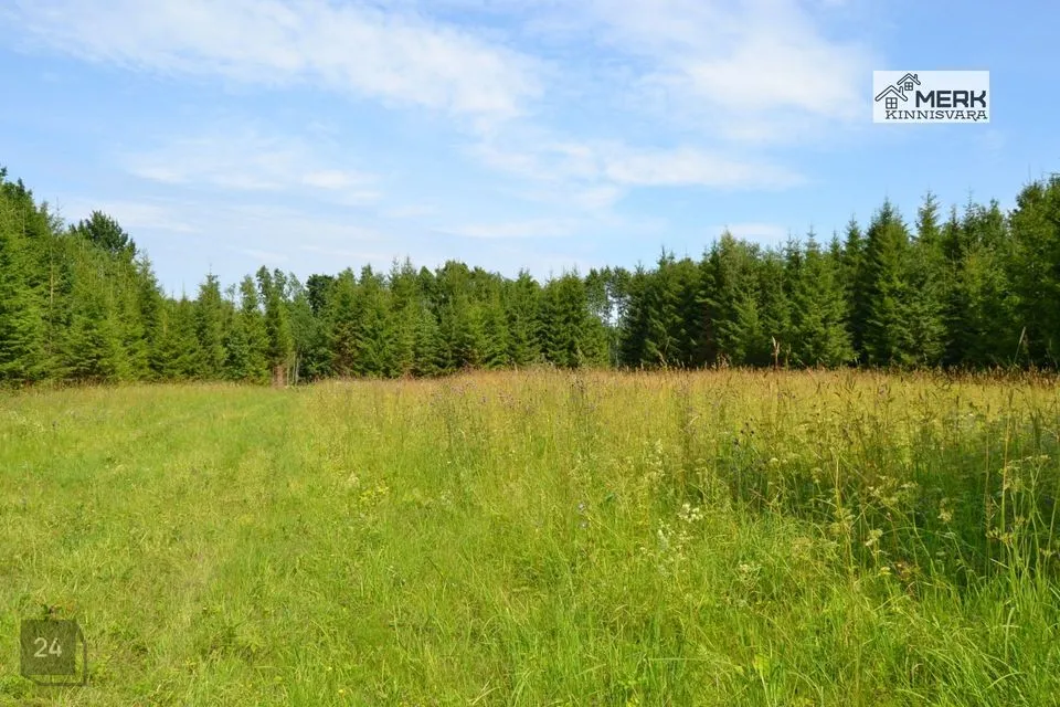 Maatulundusmaa, 25051 m² Maa - Kose vald, Lutsu küla - foto 2