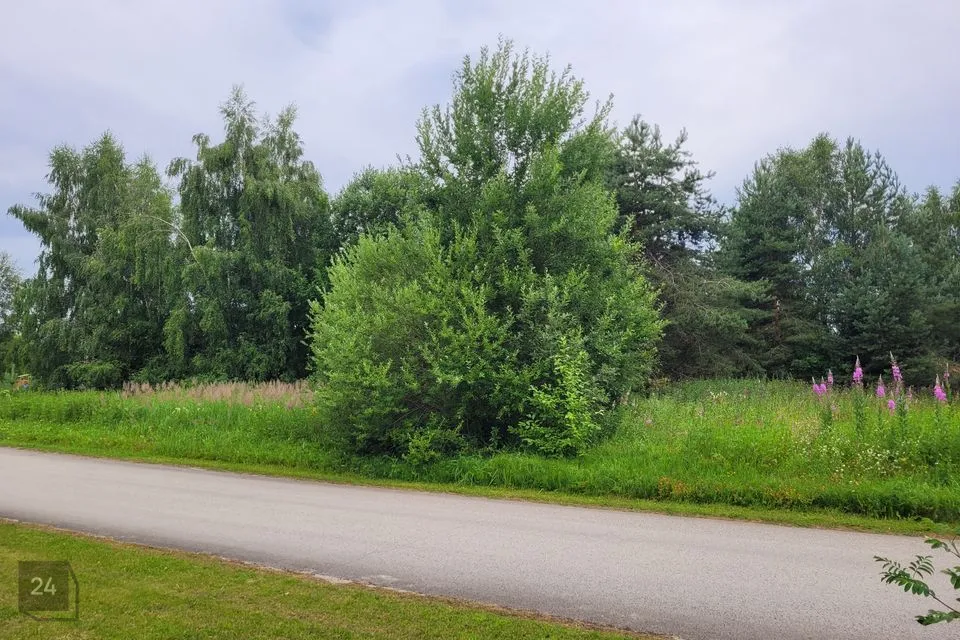Elamumaa, 3660 m² Maa  -  Kuusalu vald, Sõitme küla - foto 3
