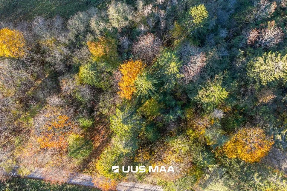 Maatulundusmaa, 24445 m² Maa - Lääne-Harju vald, Lehola küla - foto 3