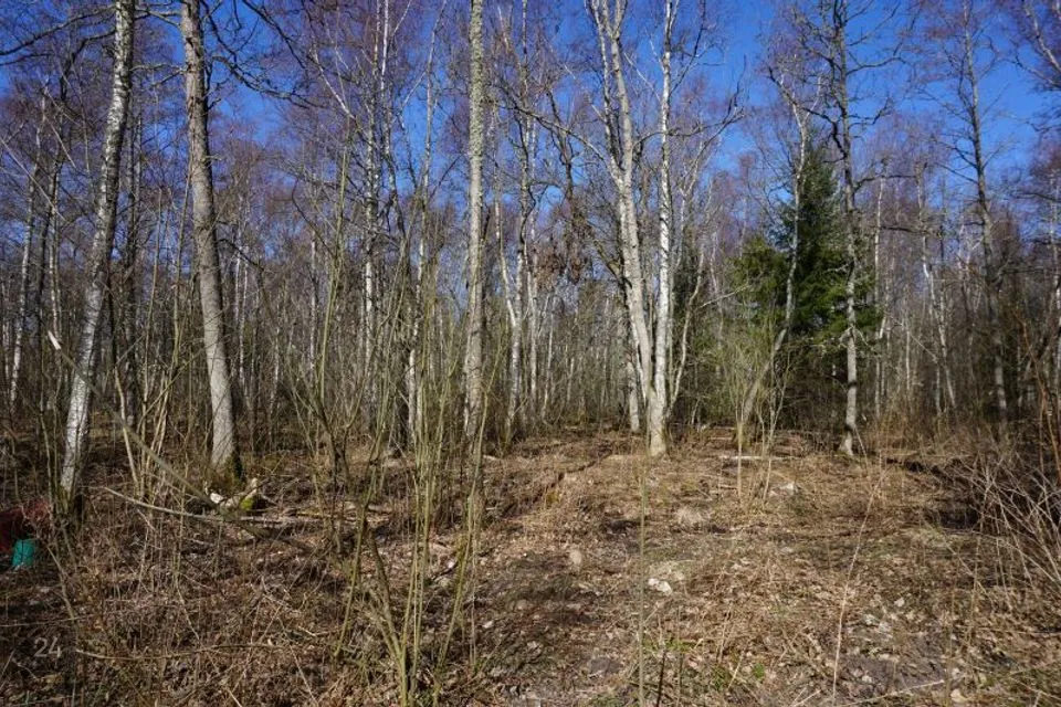 Elamumaa, 26395 m² Maa - Hiiumaa vald, Haldreka küla - foto 5