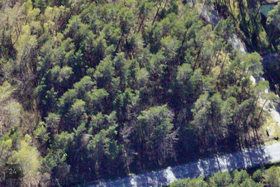 Elamumaa, 4385 m² Maa - Saaremaa vald, Muratsi küla - foto 3