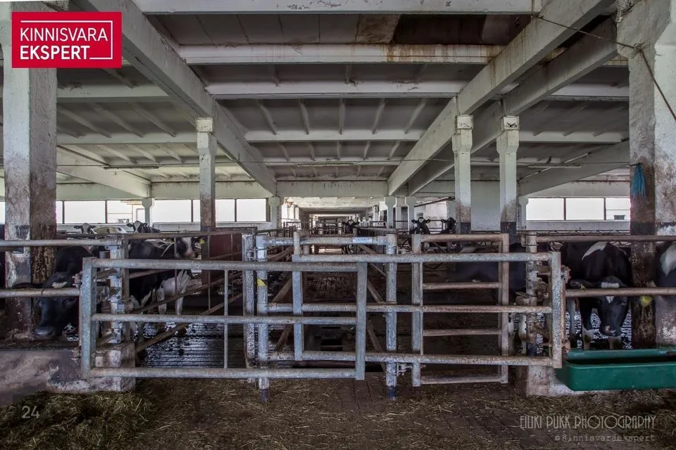 Tootmine, 6348 m² Äripind - Lääneranna vald, Oidrema küla - foto 5