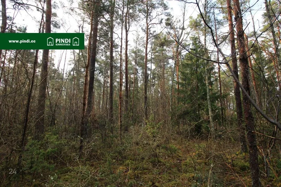 Maatulundusmaa, 13961 m² участок в Hiiumaa vald, Vahtrepa küla - фото 4