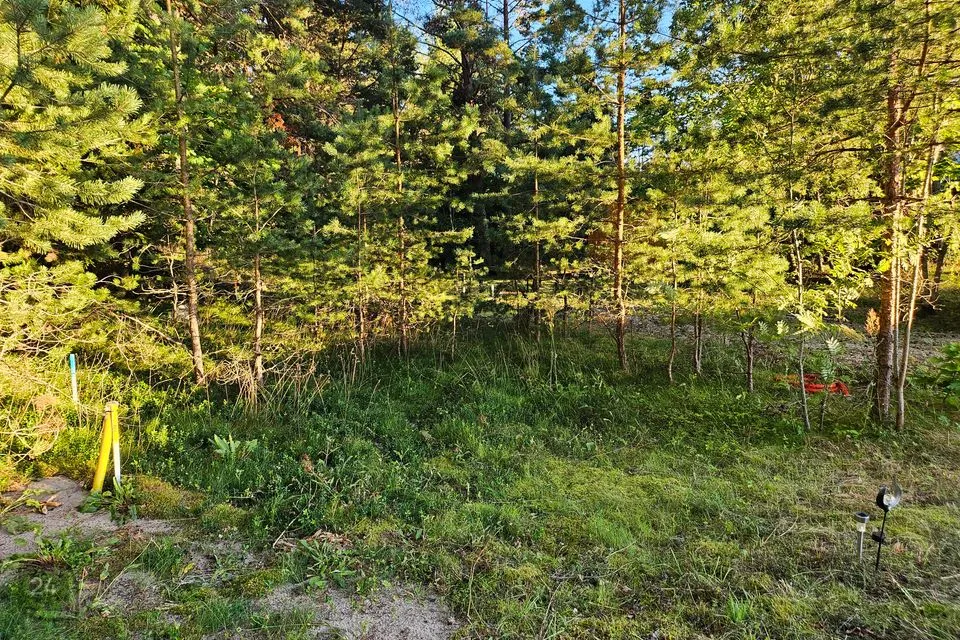 Maatulundusmaa, 1773 m² Maa  -  Lääne-Nigula vald, Tuksi küla / Bergsby - foto 4