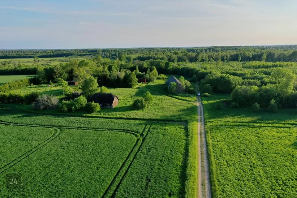 4774 m² Maa - Viljandi vald, Savikoti küla - foto 2