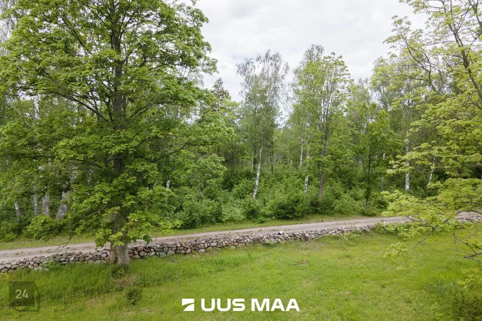 Земля жилой застройки, 11027 m² участок в Saaremaa vald, Vatsküla - фото 3