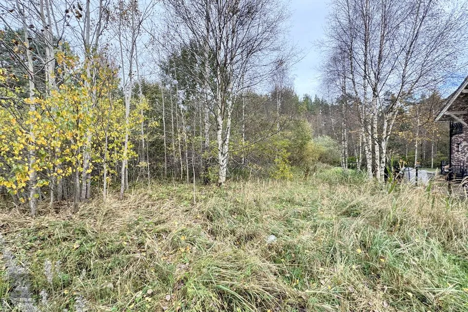 Elamumaa, 1500 m² Maa  -  Rae vald, Järveküla - foto 2