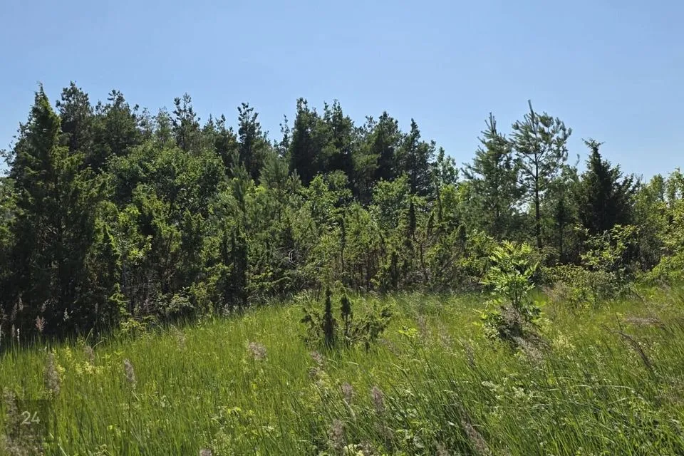 Elamumaa, 2498 m² Maa  -  Saaremaa vald, Kudjape alevik - foto 2