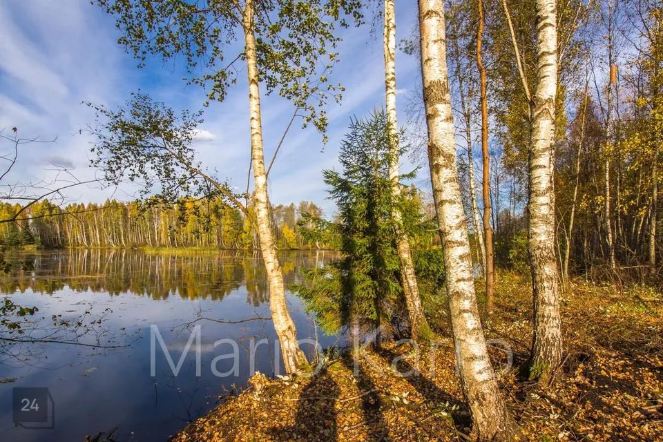 Maatulundusmaa, 33895 m² участок в Mulgi vald, Penuja küla - фото 2