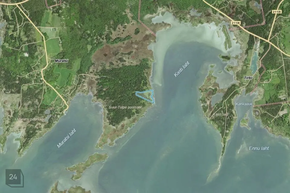 Sihtotstarbeta maa, 82400 m² Maa  -  Saaremaa vald, Muratsi küla - foto 2