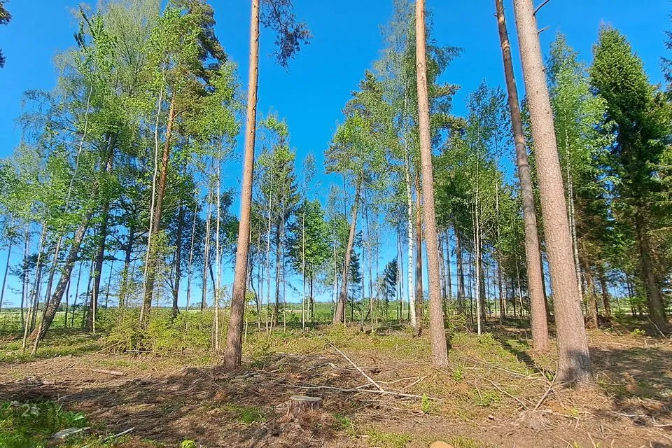 3-toaline Suvila  -  Kohila vald, Loone küla - foto 3