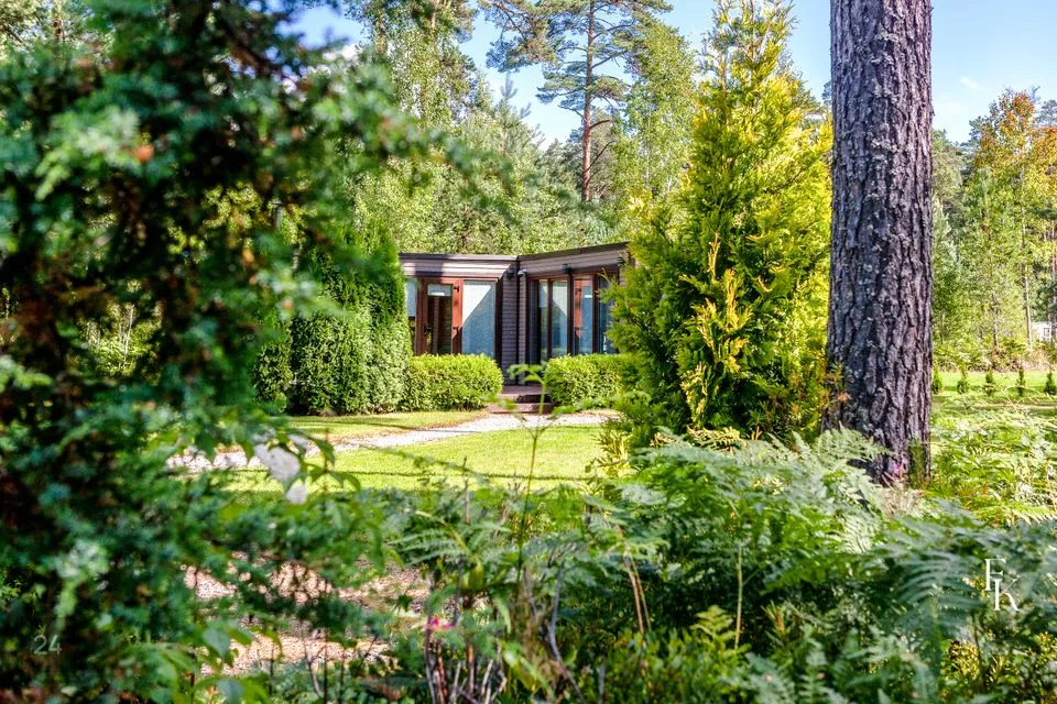 3-toaline Suvila  -  Alutaguse vald, Kuru küla - foto 3