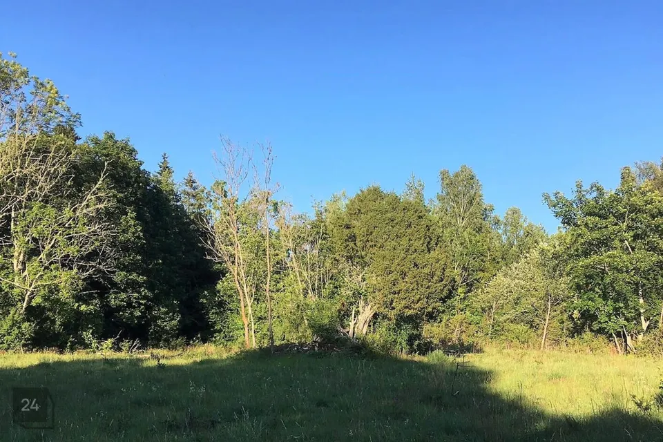 Maatulundusmaa, 22100 m² Maa  -  Saaremaa vald, Ridala küla - foto 3