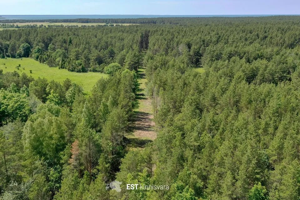 Земля жилой застройки, 5114 m² участок в Saaremaa vald, Ninase küla - фото 4