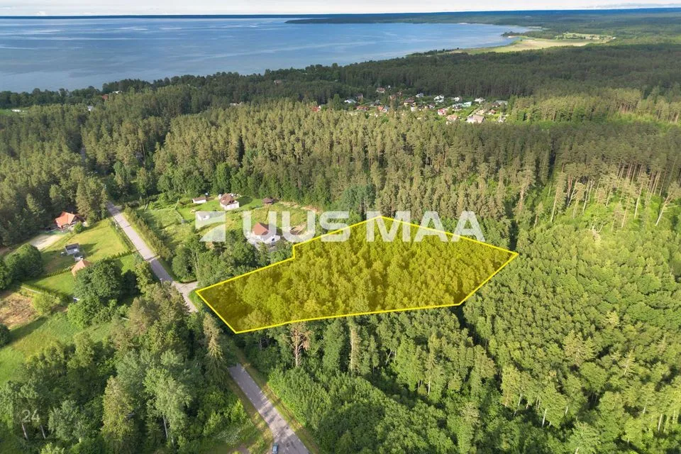 Elamumaa, 10065 m² Maa  -  Kuusalu vald, Salmistu küla