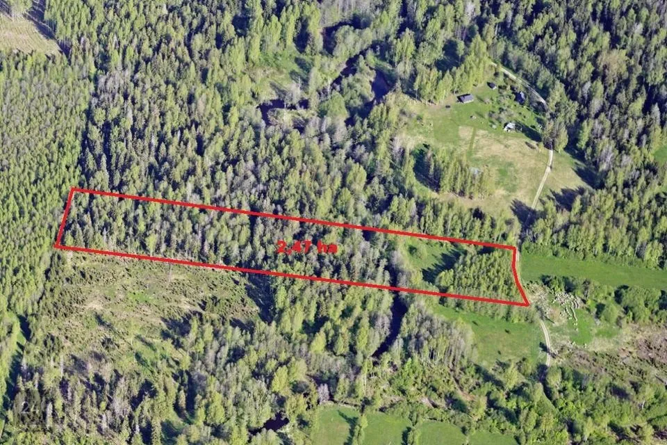 Maatulundusmaa, 24774 m² Maa - Anija vald, Voose küla - foto 3