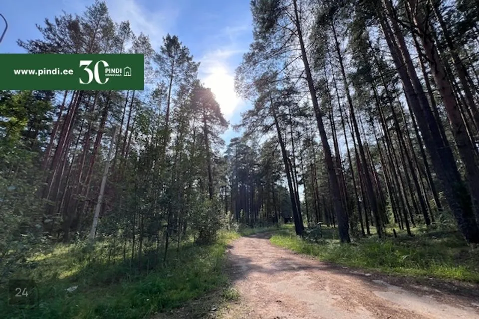 Elamumaa, 33629 m² Maa  -  Narva-Jõesuu linn, Narva-Jõesuu linn - foto 3