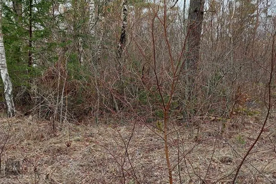 Elamumaa, 16636 m² Maa  -  Haapsalu linn, Pusku küla - foto 3