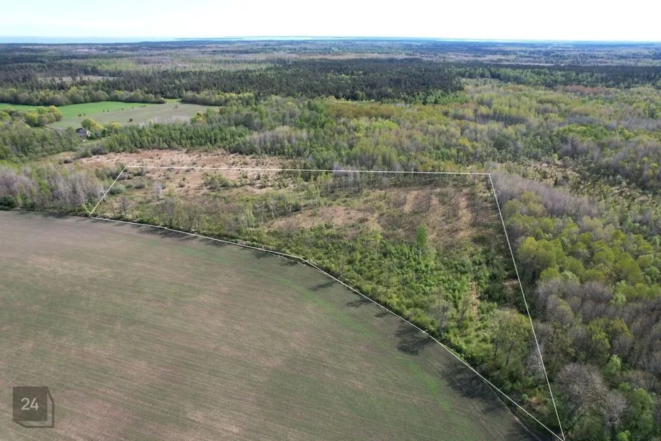 Cultivated land, 33296 m² land in Saaremaa vald, Väike-Võhma küla - photo 4