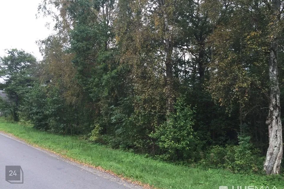 Maatulundusmaa, 12014 m² Maa - Viimsi vald, Tammneeme küla - foto 3