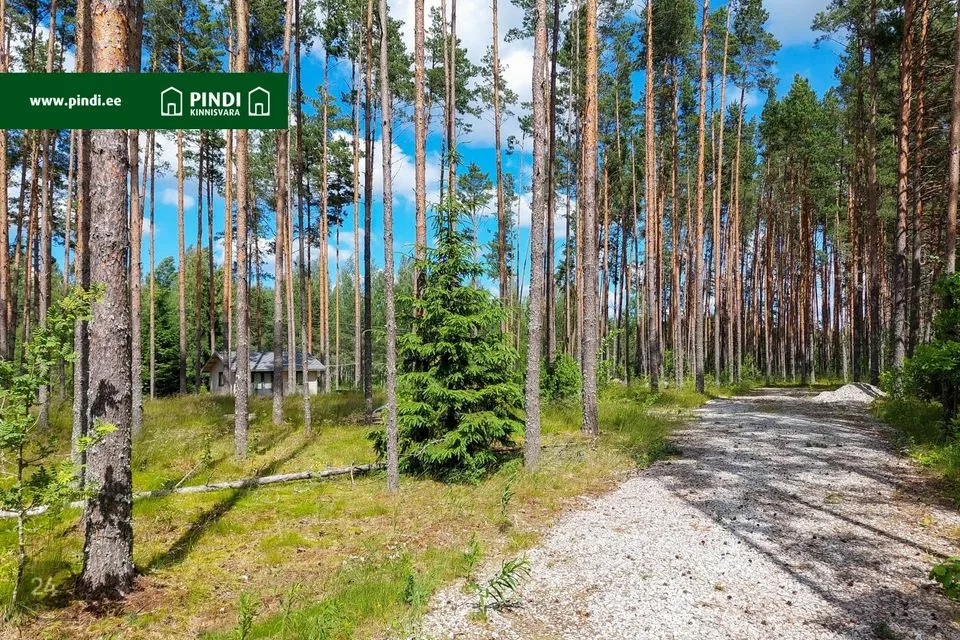 Residential land, 1450 m² land in Alutaguse vald, Alajõe küla - photo 5