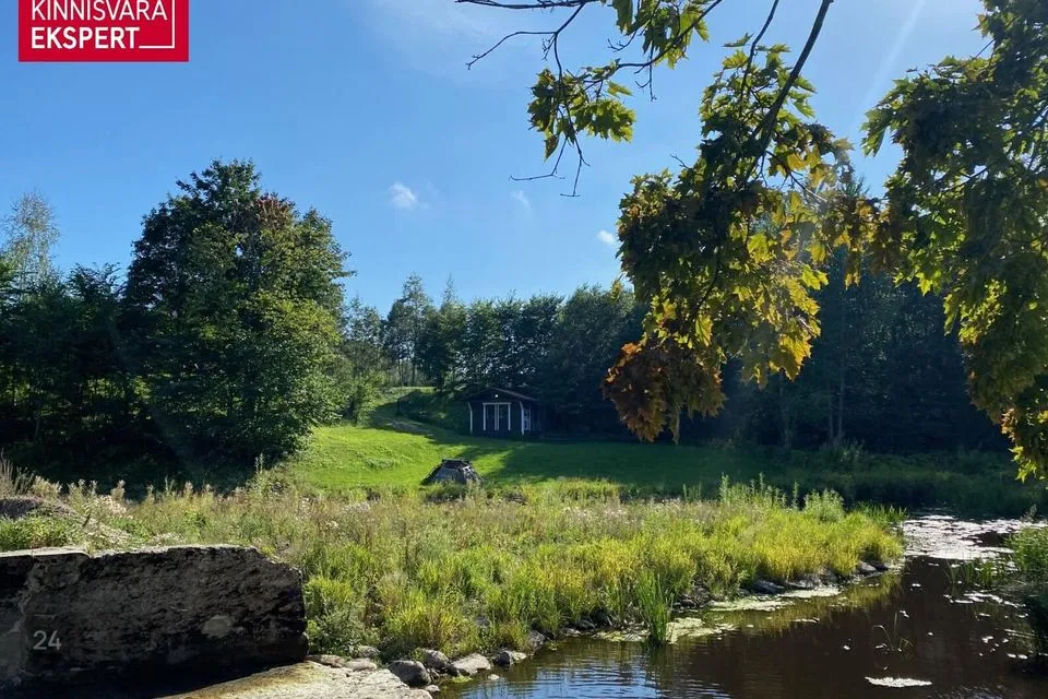 Maatulundusmaa, 53300 m² Maa - Tori vald, Nurme küla - foto 4