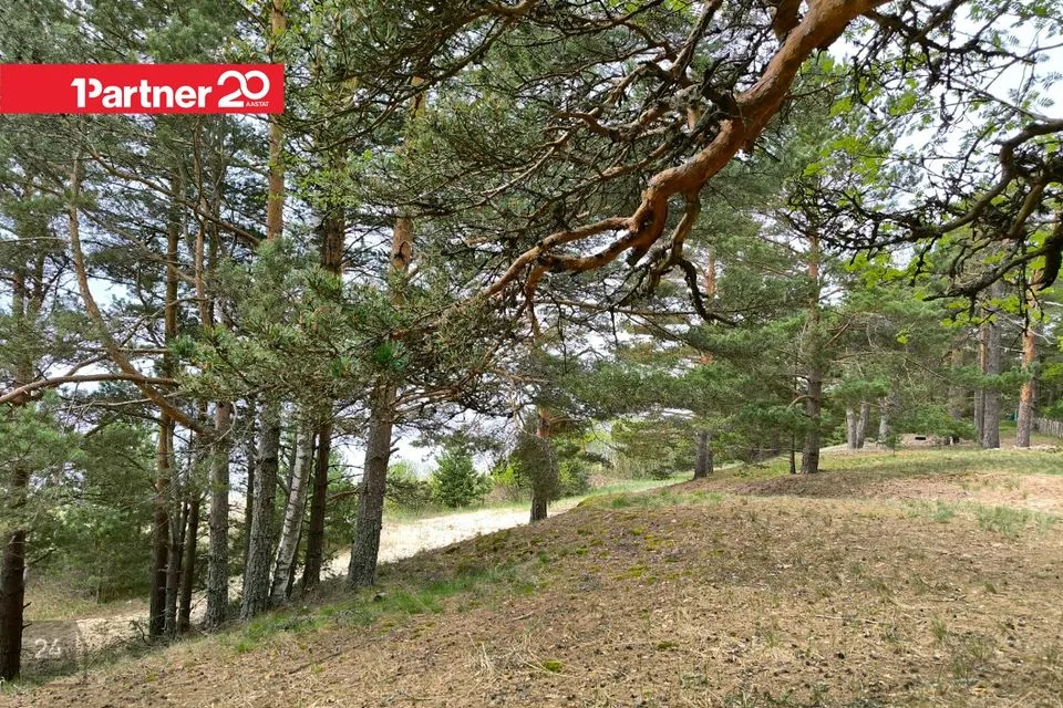 Maatulundusmaa, 15891 m² Maa - Alutaguse vald, Katase küla - foto 2