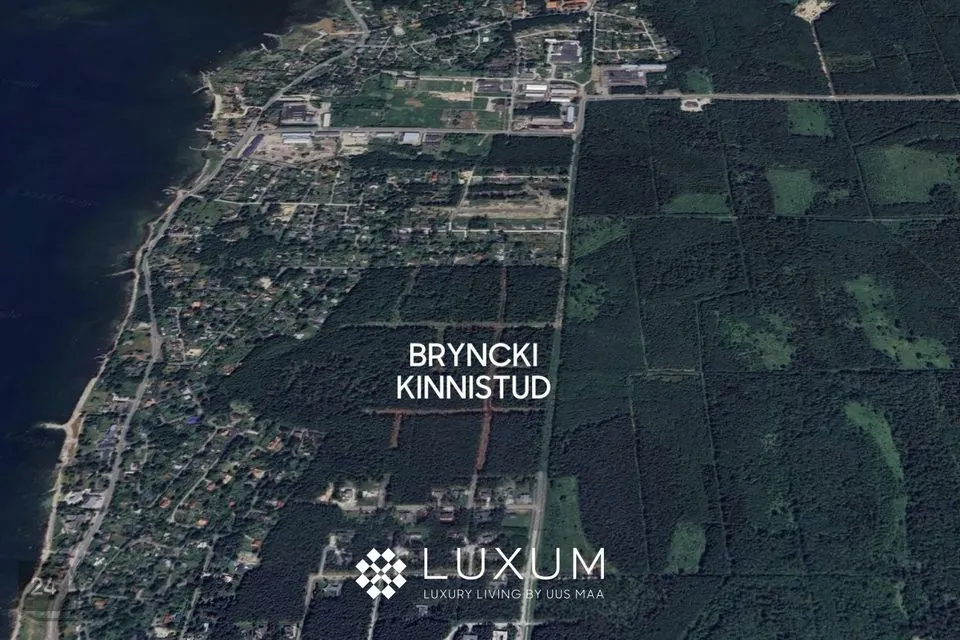 Elamumaa, 3353 m² Maa  -  Viimsi vald, Pringi küla - foto 2