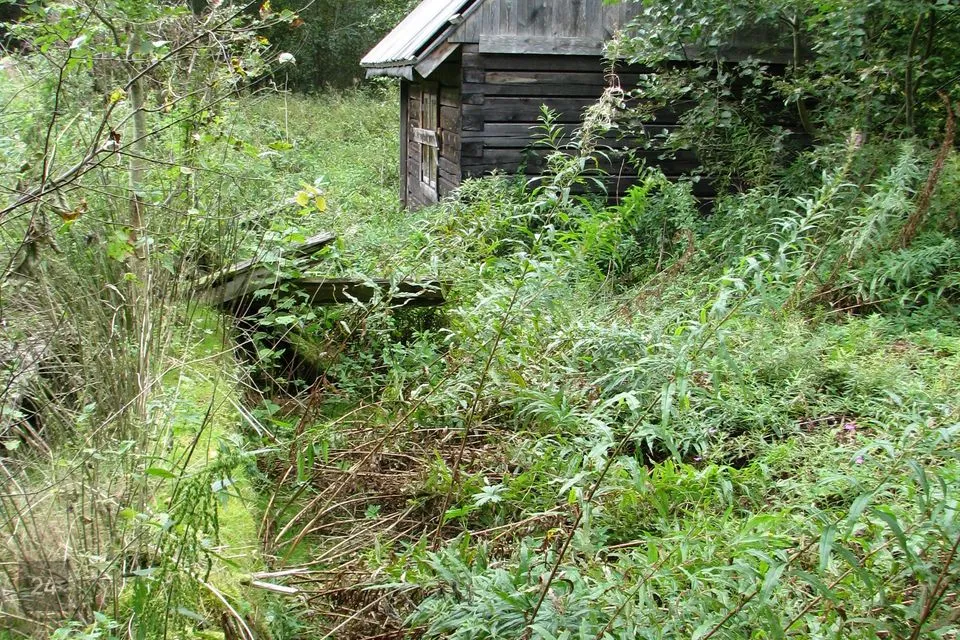 Maatulundusmaa, 50068 m² Maa - Lääneranna vald, Tuudi küla - foto 5