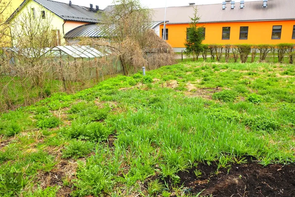 4-toaline Maja  -  Räpina vald, Räpina linn - foto 5