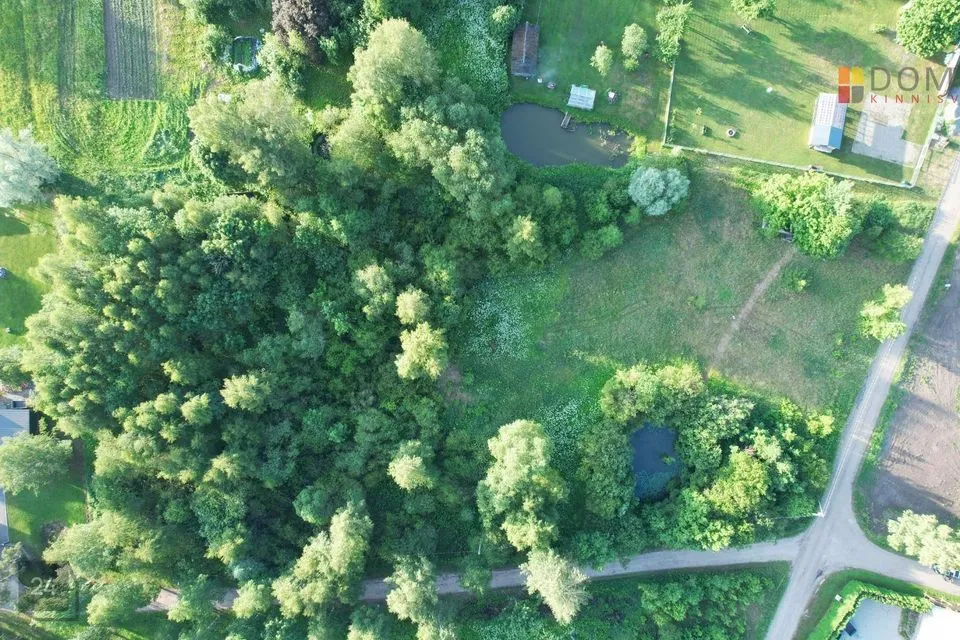 Maatulundusmaa, 9149 m² Maa - Põhja-Sakala vald, Suure-Jaani linn