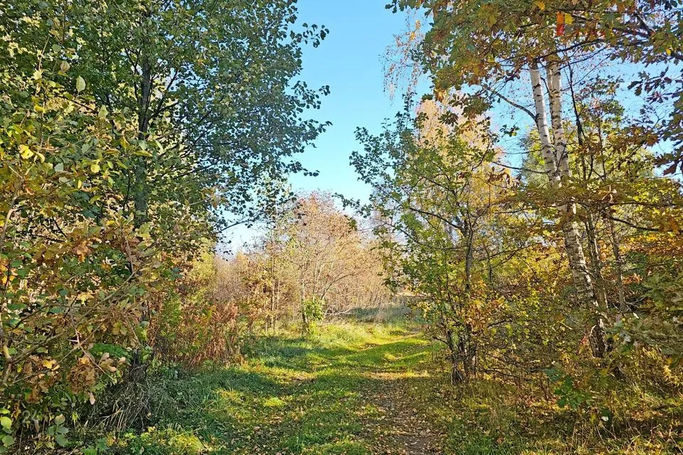 Maatulundusmaa, 9349 m² Maa - Häädemeeste vald, Kabli küla - foto 2