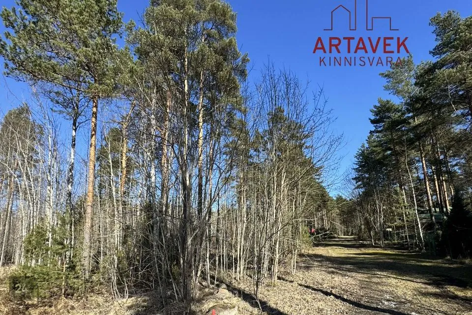 Земля жилой застройки, 1518 m² участок в Alutaguse vald, Alajõe küla